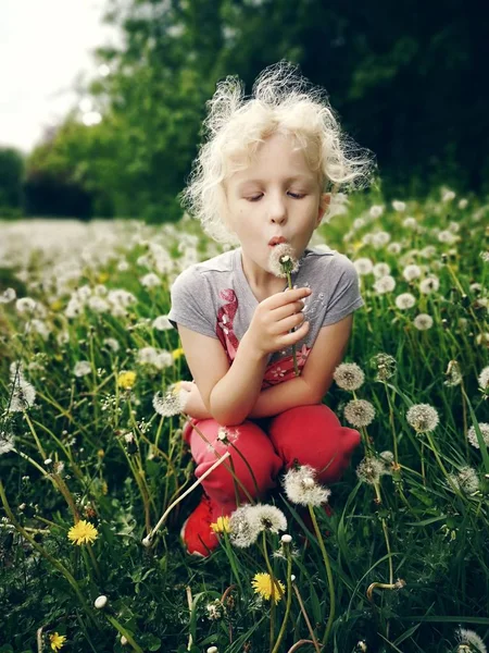 Potret Gadis Kaukasia Menggemaskan Meniup Dandelion Duduk Rumput Padang Rumput — Stok Foto