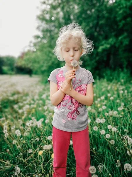 牧草地の草の上に立ってタンポポを吹くかわいい愛らしい白人の女の子の肖像画 屋外の楽しい夏の季節の子供の活動 子供が楽しんで 幸せな子供時代 — ストック写真