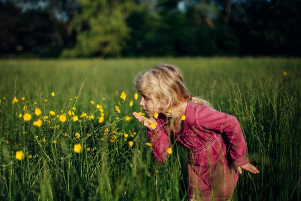 Gadis Cantik Berambut Pirang Kaukasia Berjalan Rumput Tinggi Padang Rumput — Stok Foto