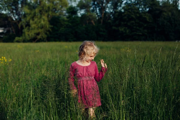 Cute Adorable Beautiful Preschool Caucasian Girl Walking Tall High Grass — Stock Photo, Image