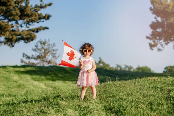 ปภาพของเด กทารกน อยน Caucasian นบนหญ ยวในสวนสาธารณะด านนอกและถ อโบกธงแคนาดาขนาดใหญ กพลเม องเด — ภาพถ่ายสต็อก