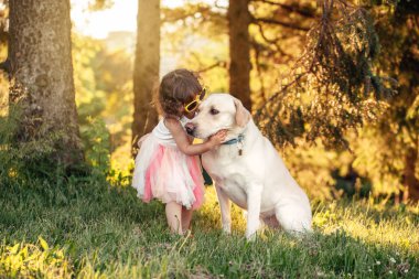 Sevimli sevimli küçük Kafkas kız yaz günü gün batımında parkta dışında köpeğini öperek sarılma portresi. Hayvan evcil hayvan ile oynayan çocuk. Mutlu çocukluk konsepti.