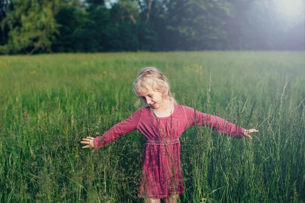 Bonito Adorável Bela Menina Caucasiana Pré Escolar Andando Alta Grama — Fotografia de Stock