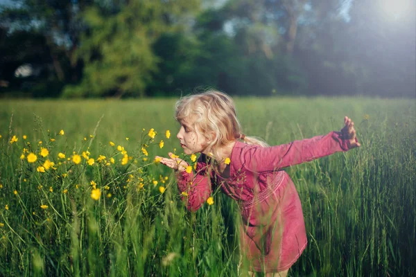Gadis Pirang Kaukasia Lucu Berjalan Rumput Tinggi Padang Rumput Memegang — Stok Foto