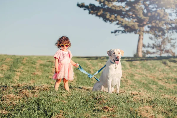 Retrato Bonito Elegante Pequena Menina Caucasiana Óculos Sol Cão Andando — Fotografia de Stock