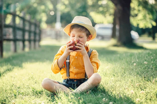 可爱的可爱的白种男孩在草帽吃红苹果水果 有趣的孩子穿着黄色衬衫和短裤 在公园里吃着健康的零食 儿童夏季美味食品 — 图库照片