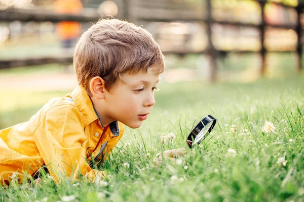 Cute Adorable Caucasian Boy Looking Plants Grass Park Magnifying Glass — Stock Photo, Image