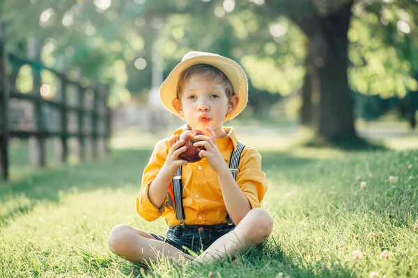 赤いリンゴの果物を食べるわら帽子でかわいい白人の少年 黄色のシャツとショートパンツの面白い子供は 健康的なスナックの食事を持っている公園でサスペンダーと 子供のための夏のおいしい食べ物 — ストック写真
