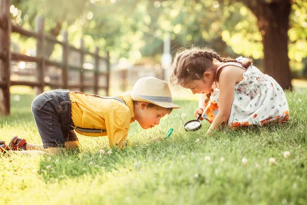 可爱的可爱的白种女孩和男孩看着植物草在公园通过放大镜 孩子们与兄弟姐妹朋友 在户外学习大自然 儿童教育理念 — 图库照片