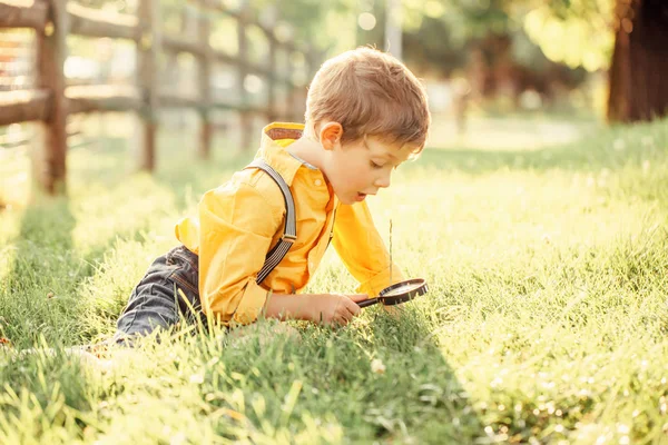 Cute Adorable Caucasian Boy Looking Plants Grass Park Magnifying Glass — Stock Photo, Image