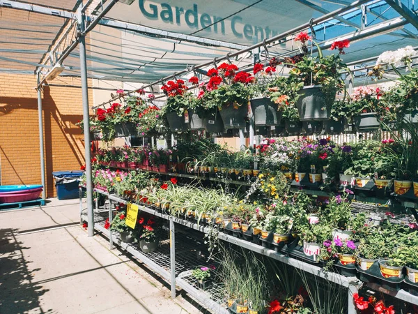 Toronto Ontario Kanada Kesäkuuta 2019 Garden Centre Canadian Walmart Supermarket — kuvapankkivalokuva