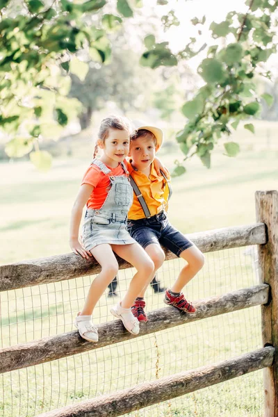 两个可爱的有趣的白人儿童男孩女孩坐在公园外的木制质朴围栏 朋友兄弟姐妹的孩子拥抱在夏天日落在农村 浪漫的爱情和友谊 — 图库照片