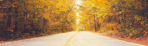 Calle Camino Vacía Colorido Parque Forestal Otoñal Con Hojas Amarillas — Foto de Stock