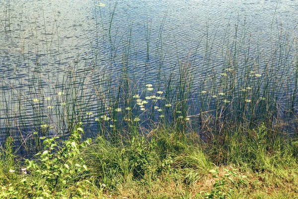 Hermosa Vista Del Paisaje Pequeño Lago Azul Del Estanque Parque — Foto de Stock