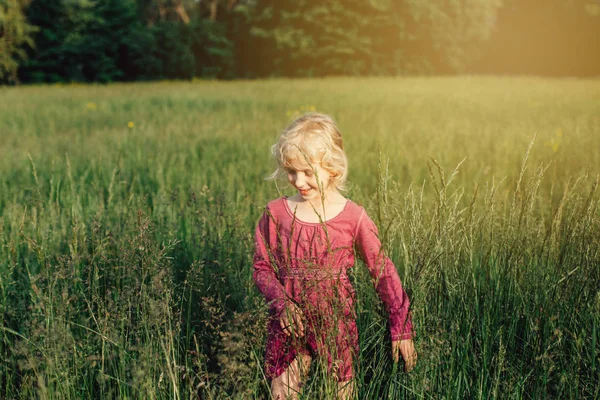 Bonito Adorável Bela Menina Caucasiana Pré Escolar Andando Alta Grama — Fotografia de Stock