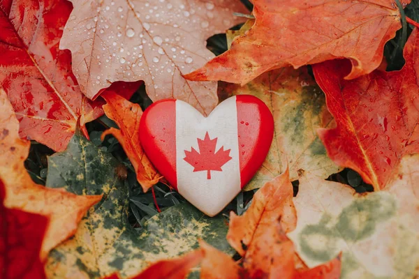 Hjärta Form Trä Nationella Kanadensiska Flaggan Symbol Som Ligger Marken — Stockfoto