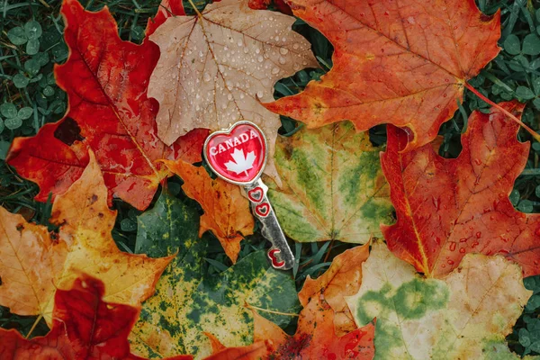 Golden Heart Shaped Key National Canadian Flag Symbol Lying Ground — Stock Photo, Image