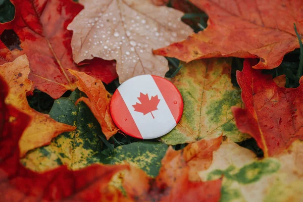 Rund Cirkel Märke Med Nationell Kanadensisk Flagga Symbol Som Ligger — Stockfoto
