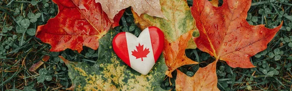 心形木制的加拿大国旗象征着秋天躺在地上的红色 橘红色的枫叶 网站的横幅标题 加拿大的秋季季节 — 图库照片
