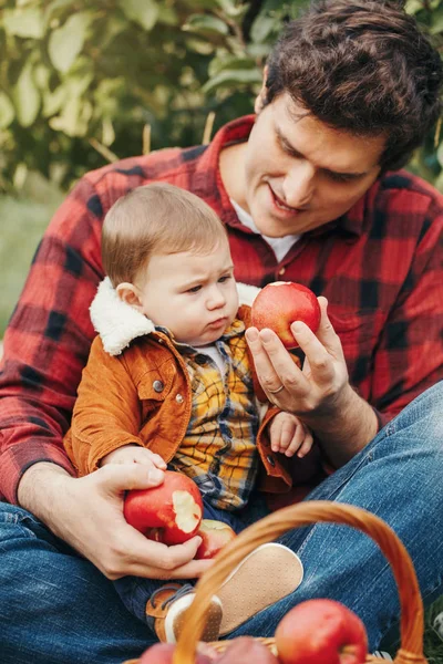 Ayah Bahagia Dengan Bayi Laki Laki Pertanian Memetik Apel Dalam — Stok Foto