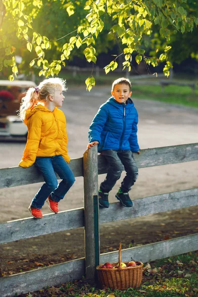 Two Cute Funny Caucasian Children Boy Girl Sitting Wooden Rustic — Stock Photo, Image