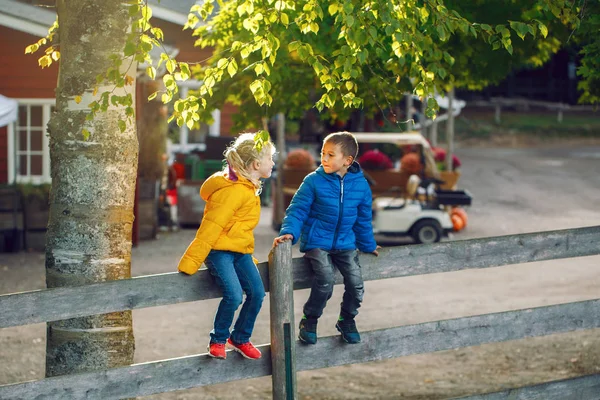 Két Aranyos Fehér Gyerek Fiú Fiú Lány Rusztikus Kerítés Park — Stock Fotó