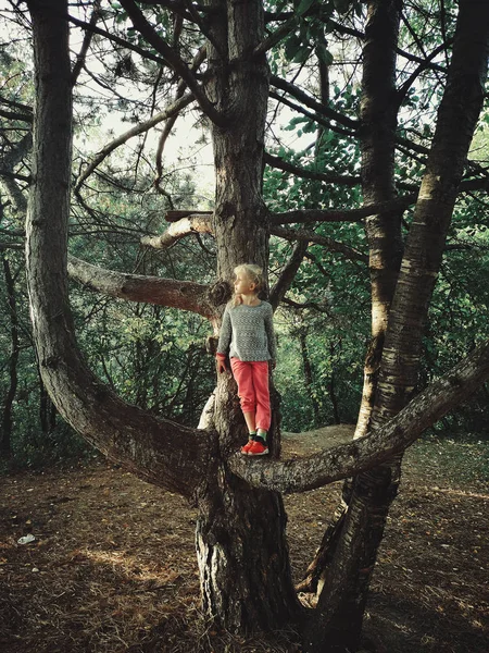 Retrato Linda Engraçada Menina Loira Caucasiana Grande Galho Enorme Árvore — Fotografia de Stock