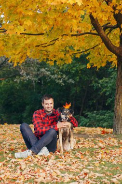 Mutlu, orta yaşlı, beyaz sakallı adam sonbahar ortasında yerde oturuyor. Sarı yapraklar dökülüyor ve evcil köpeğe sarılıyor. En iyi arkadaşlar dışarıda eğleniyor. Evcil hayvanlarla dostluk.