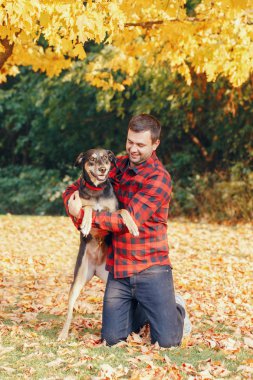 Mutlu, orta yaşlı, beyaz sakallı adam sonbahar ortasında yerde oturuyor. Sarı yapraklar dökülüyor ve evcil köpeğe sarılıyor. En iyi arkadaşlar dışarıda eğleniyor. Evcil hayvanlarla dostluk.