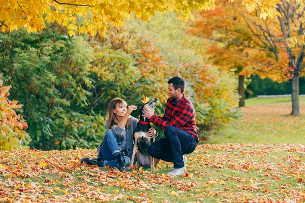 一对年轻漂亮的夫妇带着狗在公园里 秋天的一天 男人和女人抱着宠物在户外玩耍 家庭真正的生活方式活动 爱与友谊 — 图库照片