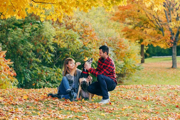 Belo Jovem Casal Com Cão Parque Man Woman Hugging Playing — Fotografia de Stock