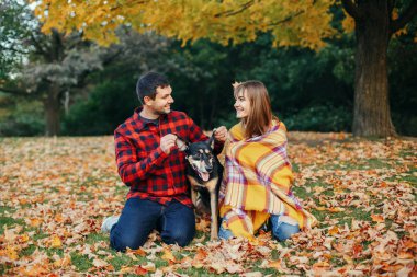Parkta köpeği olan genç ve güzel bir çift. Erkek ve kadın sonbahar günü evcil hayvanlarıyla dışarıda oynuyorlar. Ailenin otantik yaşam tarzı aktivitesi. Aşk ve arkadaşlık.