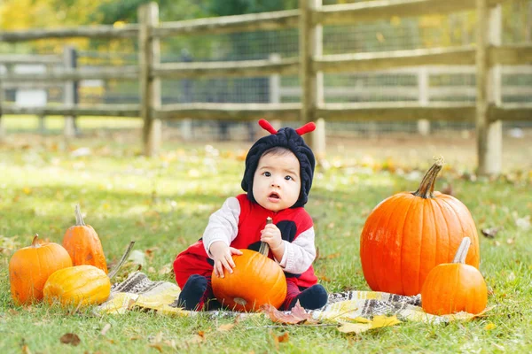 Portrait Cute Adorable Funny Asian Chinese Baby Girl Ladybug Costume — Stock Photo, Image