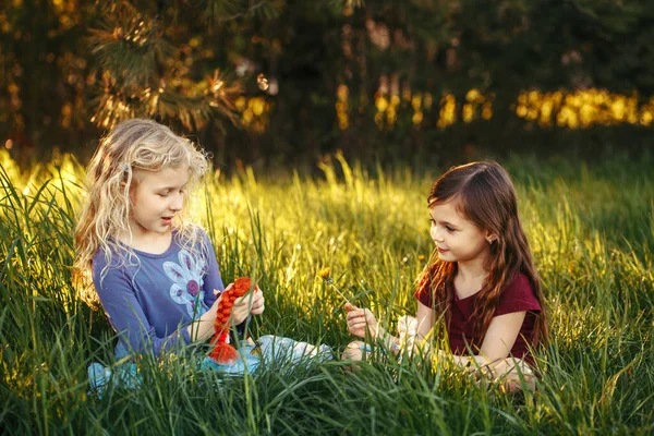 公園で人形を遊んでいる幸せな子供たち かわいい愛らしい子供たちが芝生の上でおもちゃを遊んでいます 幸せな子供時代の本格的なライフスタイル 子供のための屋外夏の裏庭活動 — ストック写真