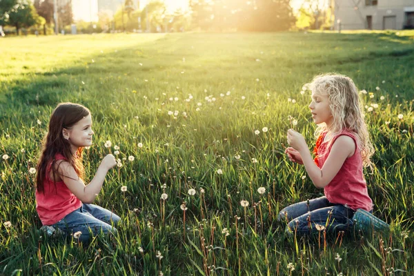 Gadis Kulit Putih Yang Menggemaskan Meniup Dandelion Anak Anak Duduk — Stok Foto