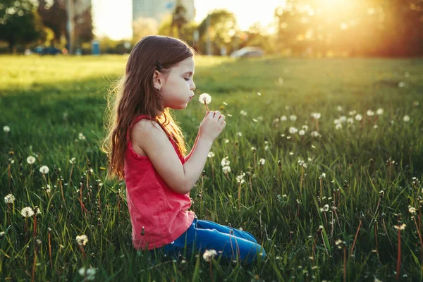 Gadis Kulit Putih Yang Menggemaskan Meniup Dandelion Anak Duduk Rumput — Stok Foto