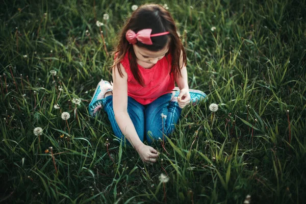 Gadis Kaukasia Yang Menggemaskan Memetik Bunga Dandelion Anak Duduk Rumput — Stok Foto