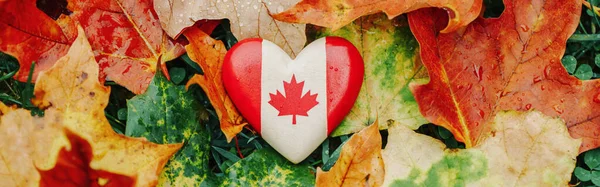 Dřevěná Kanadská Vlajka Tvaru Srdce Národní Symbol Ležící Podzimním Javorovém — Stock fotografie