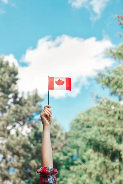 Primo Piano Donna Braccio Umano Mano Sventola Bandiera Canadese Contro — Foto Stock