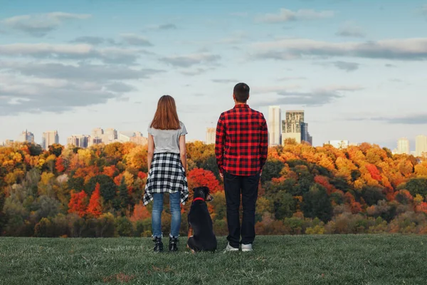 Man, woman and dog pet standing on hill in front of city urban town dreaming of future or remembering past time. View from back. Family with domestic animal. Concept of dreams or travel.