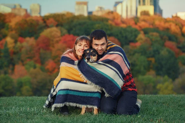 Pasangan Muda Yang Cantik Dengan Anjing Taman Pria Dan Wanita — Stok Foto