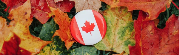 Kanadensisk Flagga Nationell Symbol Ligger Marken Höst Lönnlöv Kanada Day — Stockfoto
