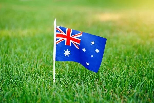 Australian Flag Standing Green Grass Australia Day National Holiday Celebration — Stock Photo, Image