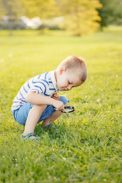 Sevimli Sevimli Beyaz Çocuk Büyüteçle Parktaki Çiçek Çimlerine Bakıyor Loupe — Stok fotoğraf