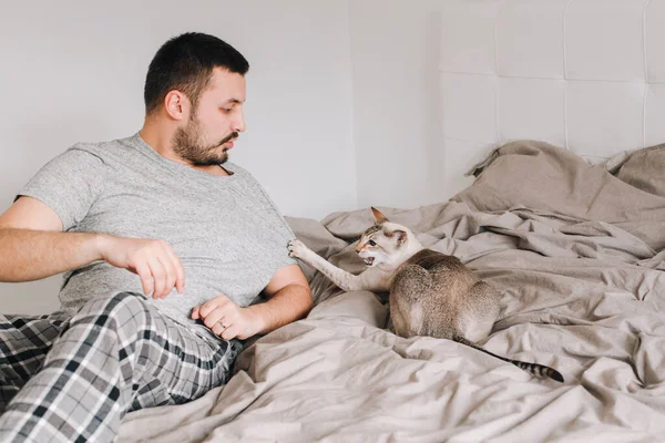 Caucasian man playing with cat. Angry furious cat attacking scratching owner master. Guy lying on bed at home with oriental cat. Pet owner with aggressive domestic animal.