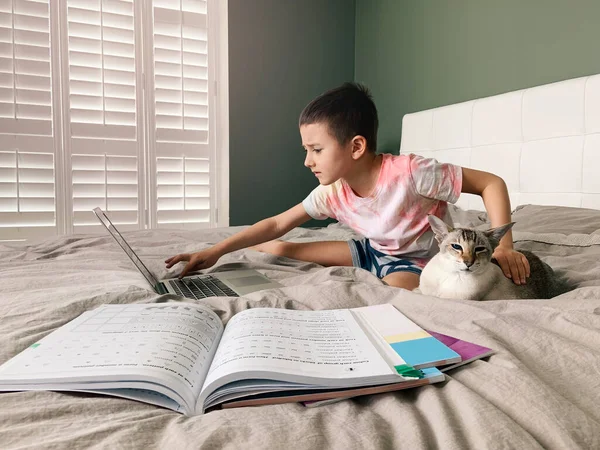 Boy Siswa Dengan Kucing Tempat Tidur Anak Belajar Online Laptop — Stok Foto