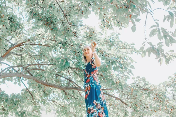 Beautiful Caucasian Woman Standing Ladder Picking Berries Farm Happy Farmer — Stock Photo, Image