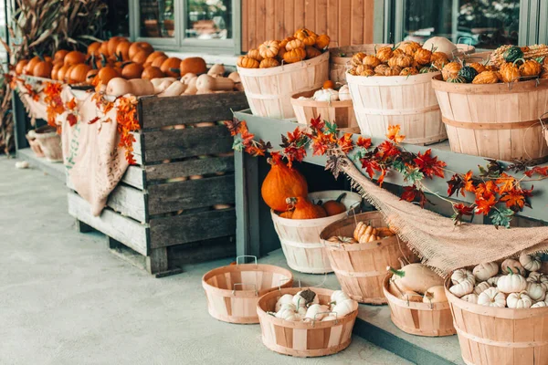 Röda Gröna Vita Pumpor Korgar Efter Butik Gården Hösthöstskörd Förvaras — Stockfoto