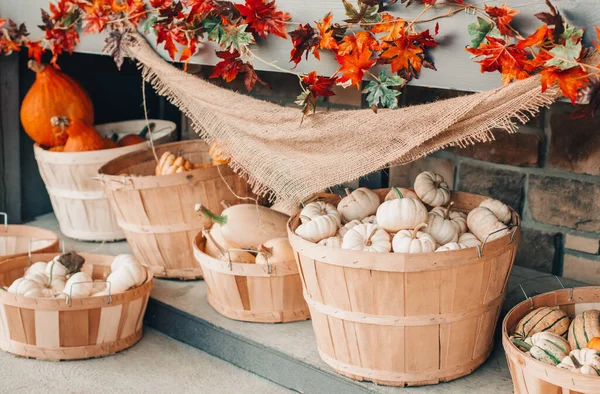 农场里每个商店的篮子里都装着红色 白色的南瓜 秋天的收获 存储室外装饰 感恩节和万圣节假期的准备工作 鲜活多彩的季节性蔬菜 — 图库照片