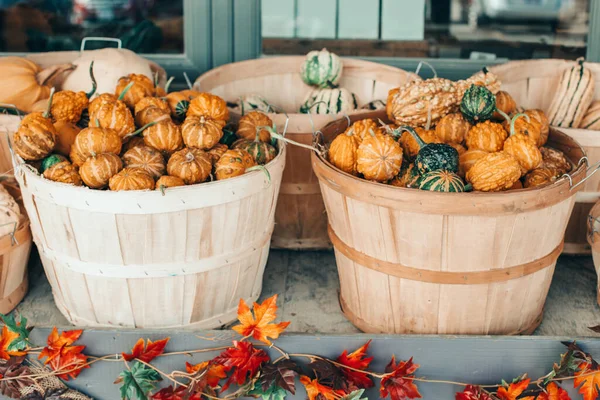 農場の店でバスケットに赤 緑のカボチャ 秋の収穫 屋外の装飾を保存します 感謝祭とハロウィーンの休日の準備 カラフルな新鮮な旬の野菜 — ストック写真